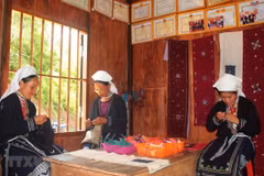 Ảnh minh họa. (Nguồn: TTXVN)