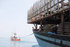 Khánh Hòa tiếp nhận 6 thuyền viên tàu cá bị nạn trên biển về bờ