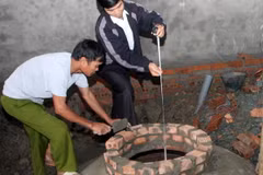 Ứng dụng công nghệ sinh học giải quyết ô nhiễm môi trường 
