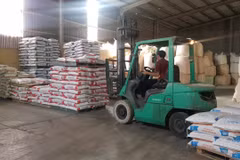 Công ty cổ phần Công nghệ Hà Lan đã tiếp cận được chương trình hỗ trợ lãi suất 2%/năm theo Nghị định 31. (Ảnh: Vietnam+)