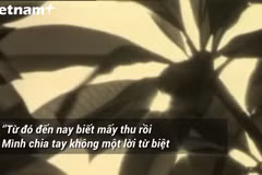 (ảnh: Vietnam+)