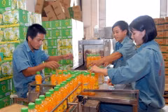 Dây chuyền đóng gói sản phẩm nước ép hoa quả của Công ty Cổ phần Công nghệ Thực phẩm Việt Mỹ. (Ảnh: Danh Lam/TTXVN)