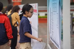 (Ảnh minh họa: PV/Vietnam+)