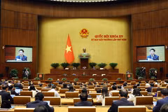 Quốc hội làm việc sáng 16/1. (Ảnh: TTXVN)