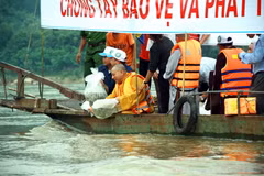 Các đại biểu thả cá tái tạo nguồn lợi thủy sản trên sông Lô. (Ảnh: Quang Cường/TTXVN)