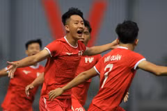 (Ảnh: CTV/Vietnam+)