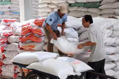 Hình chỉ mang tính minh họa. (Nguồn: TTXVN)