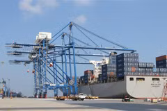 Cảng container Quốc tế Tân Cảng Hải Phòng. (Ảnh: Minh Thu/TTXVN)