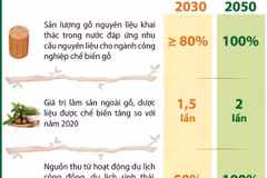 Đặt mục tiêu tăng thu nhập của lao động sản xuất lâm nghiệp lên gấp 1,5 lần.