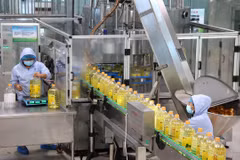 Công nhân chế biến dầu ăn tại một nhà máy ở tỉnh Sơn Đông, miền Đông Trung Quốc. (Nguồn: Cnsphoto)