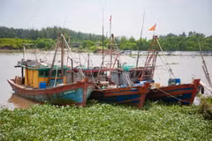 Tàu thuyền chủ động neo đậu tránh trú bão. (Ảnh: Vũ Quang/TTXVN)