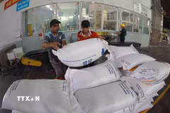 Bốc xếp gạo. (Nguồn: TTXVN)