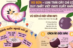Việt Nam là nước duy nhất trên thế giới xuất khẩu vú sữa