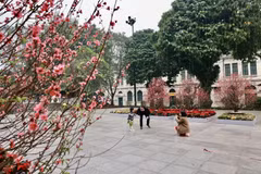 Một gia đình xuất hành đầu năm và du Xuân trong ngày mùng 1 Tết. (Ảnh: Nhật Anh/TTXVN)