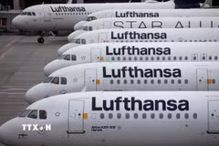 Tập đoàn hàng không Lufthansa lên kế hoạch cắt giảm hàng nghìn việc làm (Ảnh: TTXVN phát)