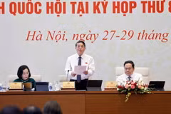 Phó Chủ tịch Quốc hội Nguyễn Đức Hải điều hành phiên họp. (Ảnh: Doãn Tấn/TTXVN)