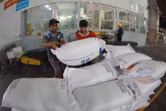 Sản phẩm gạo xuất khẩu tại một nhà máy. (Ảnh: Vũ Sinh/TTXVN)