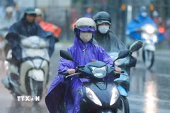 Khu vực Bắc Bộ, từ Thanh Hóa đến Hà Tĩnh có mưa rào và rải rác có dông với lượng mưa phổ biến 15-30mm, cục bộ có nơi mưa to trên 80mm. (Ảnh: TTXVN)