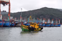 Hơn 5.800 tàu cá của ngư dân Bình Định đã vào trú ẩn an toàn tại các cảng cá, âu thuyền. (Ảnh: Nguyên Linh/TTXVN)