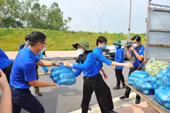 Thanh niên Hà Nội tiếp nhận và vận chuyển nhu yếu phẩm đến những nơi có dịch COVID-19. (Ảnh: Minh Đức/TTXVN)
