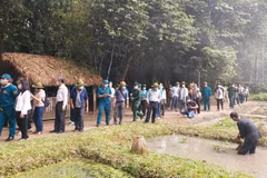 TP Hồ Chí Minh thí điểm mở tour du lịch Cần Giờ, Củ Chi để tri ân các lực lượng tuyến đầu chống dịch. (Nguồn: baotintuc.vn)