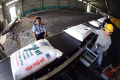 Vận chuyển đạm Phú Mỹ tại kho sản phẩm của Tổng công ty tại Cần Thơ. (Ảnh minh họa: Huy Hùng/TTXVN)