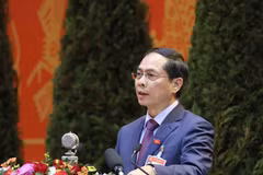 Đồng chí Bùi Thanh Sơn, Ủy viên Trung ương Đảng, Thứ trưởng thường trực Bộ Ngoại giao trình bày tham luận. (Ảnh: TTXVN)