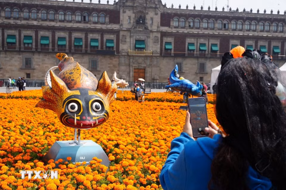 Du khách chụp ảnh tượng axolotl - thường được gọi là kỳ giông Mexico, là loài lưỡng cư đặc hữu của quốc gia Mỹ Latinh này. (Ảnh: Phi Hùng/TTXVN)
