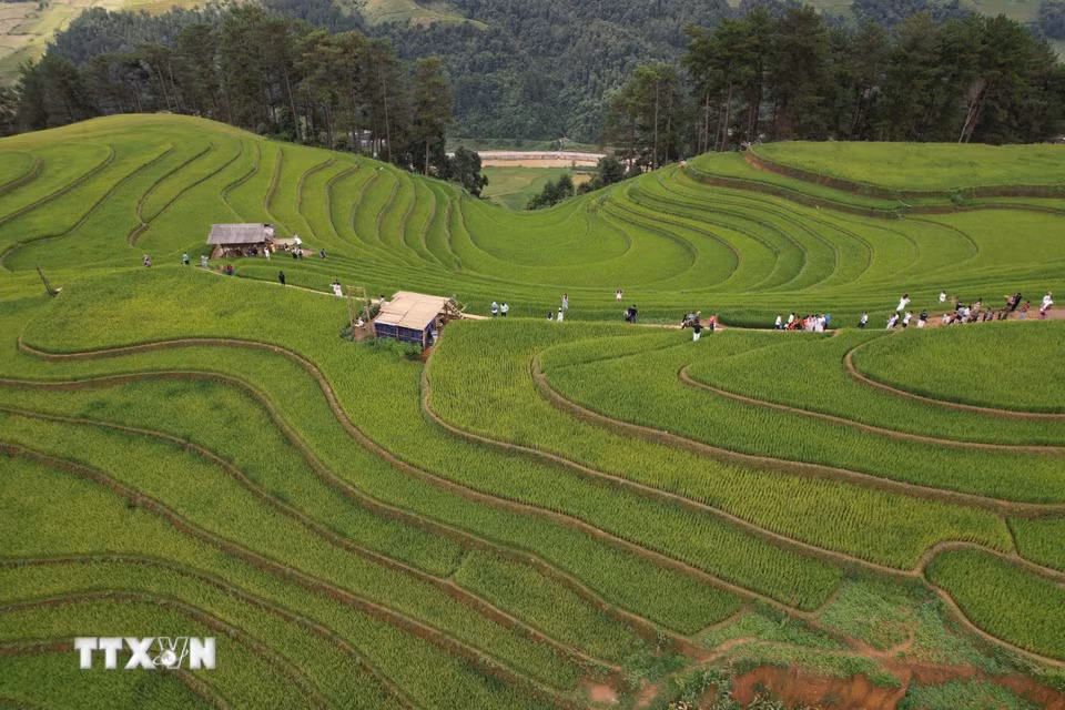 Ruộng bậc thang Mù Cang Chải từ lâu đã nổi tiếng bởi cảnh sắc thiên nhiên hùng vĩ với những thửa ruộng bậc thang đẹp như tranh vẽ. (Ảnh: Tuấn Anh/TTXVN)