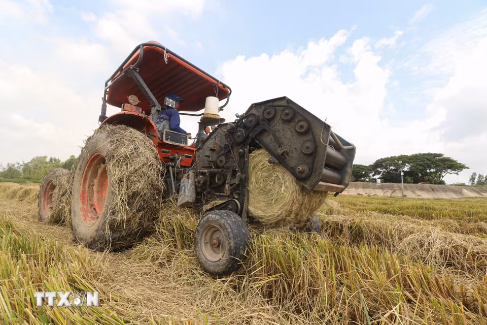 Máy cuộn rơm hoạt động liên tục, cuốn phần rơm khô thành những cuộn tròn. (Ảnh: Hồng Thái/TTXVN)