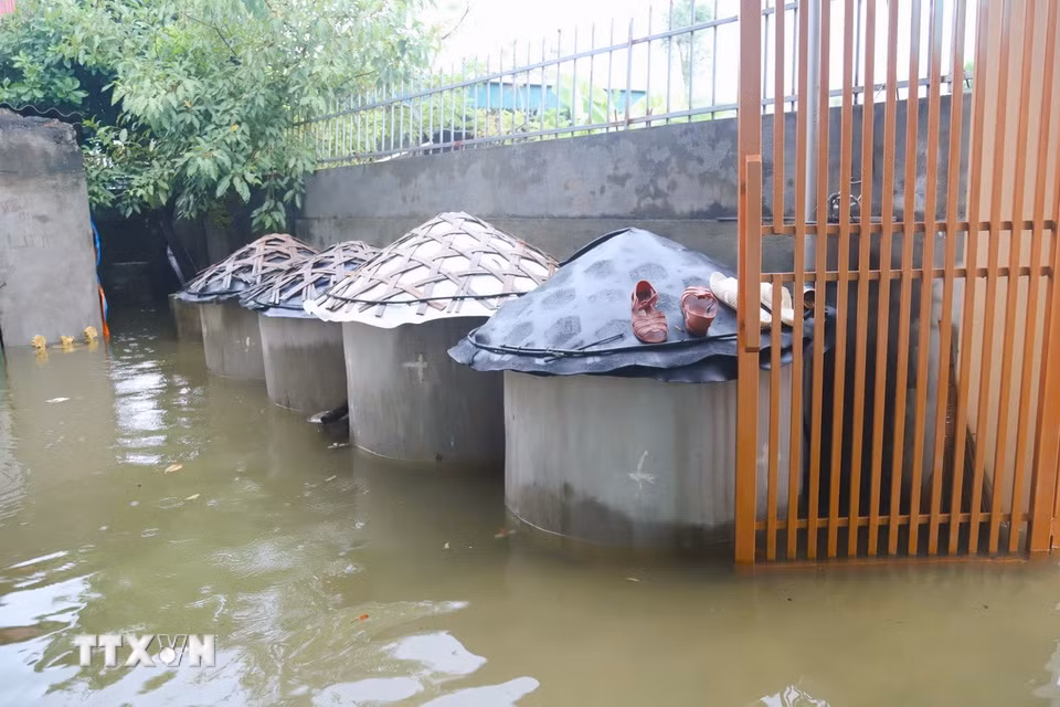 Những am mắm của người dân ở khu vực sân bị ngập trong nước. (Ảnh: Xuân Tiến/TTXVN)