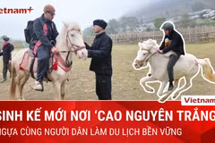 Ngựa tung vó: Điểm nhấn độc đáo hút khách du lịch tới "cao nguyên trắng"
