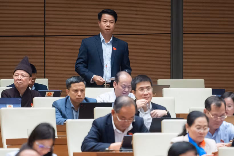 Đại biểu Hoàng Quốc Khánh phát biểu. (Ảnh: CTV/Vietnam+)