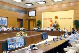 Ủy ban Thường vụ Quốc hội biểu quyết. (Ảnh: Doãn Tấn/TTXVN)