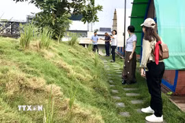 Đoàn du khách trải nghiệm tour du lịch sinh thái Thành phố Hồ Chí Minh - Đồng Tháp. (Ảnh: Mỹ Phương/TTXVN)