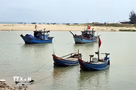 Tàu thuyền "mắc cạn" phía trong cửa sông Dinh do hiện tượng bồi lắng. (Ảnh: Tá Chuyên/TTXVN)