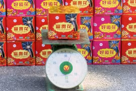Tang vật một vụ thu giữ pháo lậu. (Ảnh: Văn Đức/TTXVN)