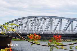 Vòm cầu Trường Tiền trên sông Hương ở trung tâm thành phố Huế đã được sơn màu nhũ bạc nguyên bản. (Ảnh: Nguyên Lý/TTXVN)
