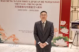 Giáo sư, Tiến sỹ Thành Hán Bình, Viện trưởng điều hành Viện Nghiên cứu khu vực và quốc gia, Giám đốc Trung tâm Nghiên cứu Việt Nam tại Đại học Công nghiệp Chiết Giang (Trung Quốc). (Ảnh: TTXVN phát)