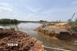 UBND xã Yên Phú (Thanh Hóa) đã cắt 1 đoạn đường thôn để thoát nước cứu diện tích dứa bị ngập úng. (Ảnh: Hoa Mai/TTXVN)