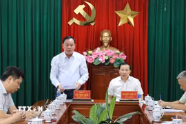 Ông Võ Tấn Đức, Phó Bí thư Tỉnh ủy Đồng Nai phát biểu tại cuộc họp. (Ảnh: Công Phong/TTXVN)