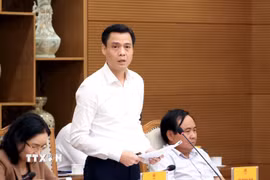 Thứ trưởng Bộ Ngoại giao Đặng Hoàng Giang. (Ảnh: Tuấn Anh/TTXVN)
