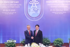 Chủ tịch nước Lương Cường tiếp ngài Matt Thistlethwaite, đồng Bộ trưởng về Ngoại giao và Thương mại Australia. (Ảnh: Lâm Khánh/TTXVN)