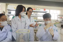 Tiến sỹ Nguyễn Hồ Thùy Linh hướng dẫn sinh viên nghiên cứu trong phòng thí nghiệm. (Ảnh: Thu Hoài/TTXVN)