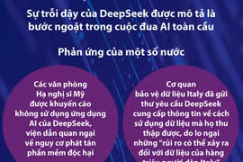 Thông tin quanh hiện tượng DeepSeek 
