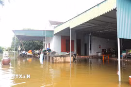 Sau mưa lớn, nước từ thượng nguồn đổ về sông Lạch Vạn nhiều kết hợp cùng với triều cường, nhiều nhà dân ở xã Đức Châu (Nghệ An) bị ngập sâu trong nước. (Ảnh: Xuân Tiến/TTXVN)