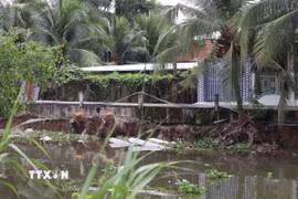 Sạt lở nguy hiểm đe dọa khu dân cư. (Ảnh: Minh Trí/TTXVN)