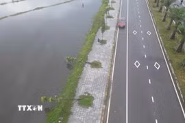 Hàng trăm cây xanh đổ ngã, bật gốc trên tuyến đường Phú Mỹ-Thuận An. (Ảnh: Mai Trang/TTXVN)