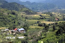Từ trên bản Lao Chải, du khách phóng tầm mắt ra xa ngắm nhìn những thửa ruộng lúa bậc thang cùng thiên nhiên hùng vĩ. (Ảnh: Quý Trung/TTXVN)