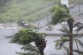 Gió mạnh kèm theo mưa do ảnh hưởng của bão Khanun tại Okinawa, Nhật Bản. (Ảnh tư liệu: Kyodo/TTXVN)